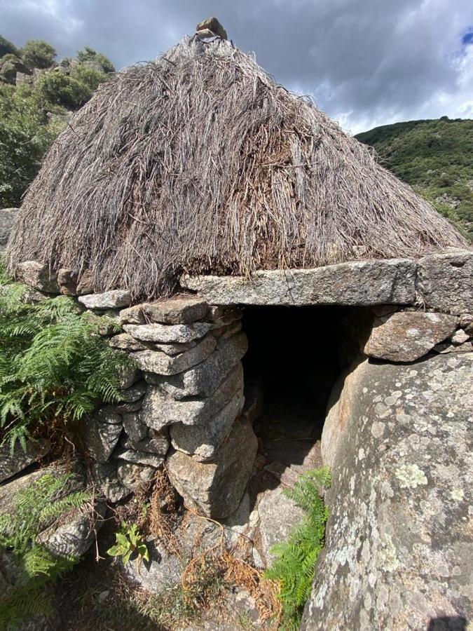 El Jazmin De La Fuente Casa Rural Guijo de Santa Bárbara Exteriör bild